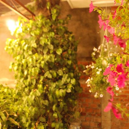 Winna Airport Hostel دا نانغ المظهر الخارجي الصورة
